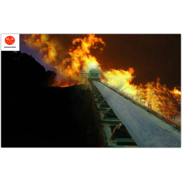 Whole Core Flame Retardant Conveyor Belt (MT914-2008)